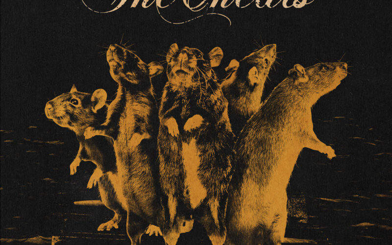 The Cheats