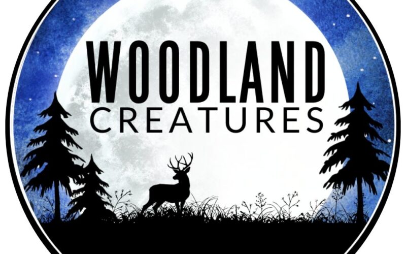 Woodland Creatures